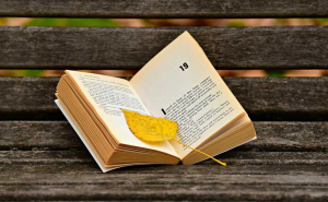 Buku krisis iklim