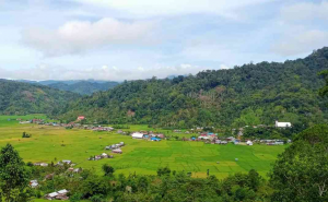 Ngata Toro merupakan desa yang bersinggungan dengan Taman Nasional Lore Lindu (foto: Aliansi Masyarakat Adat Indonesia)