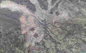 Penemuan fosil hutan tertua di dunia berumur 385 juta tahun (Foto: Smithsonian Magazine)