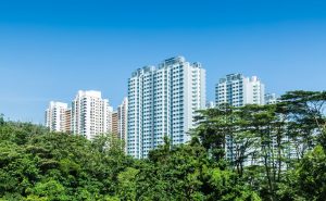 Hutan kota