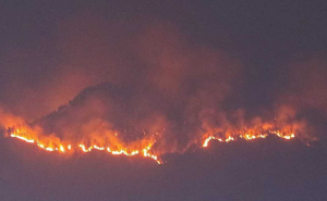Kebakaran hutan dan lahan melanda berbagai daerah (foto: jawapos.com)