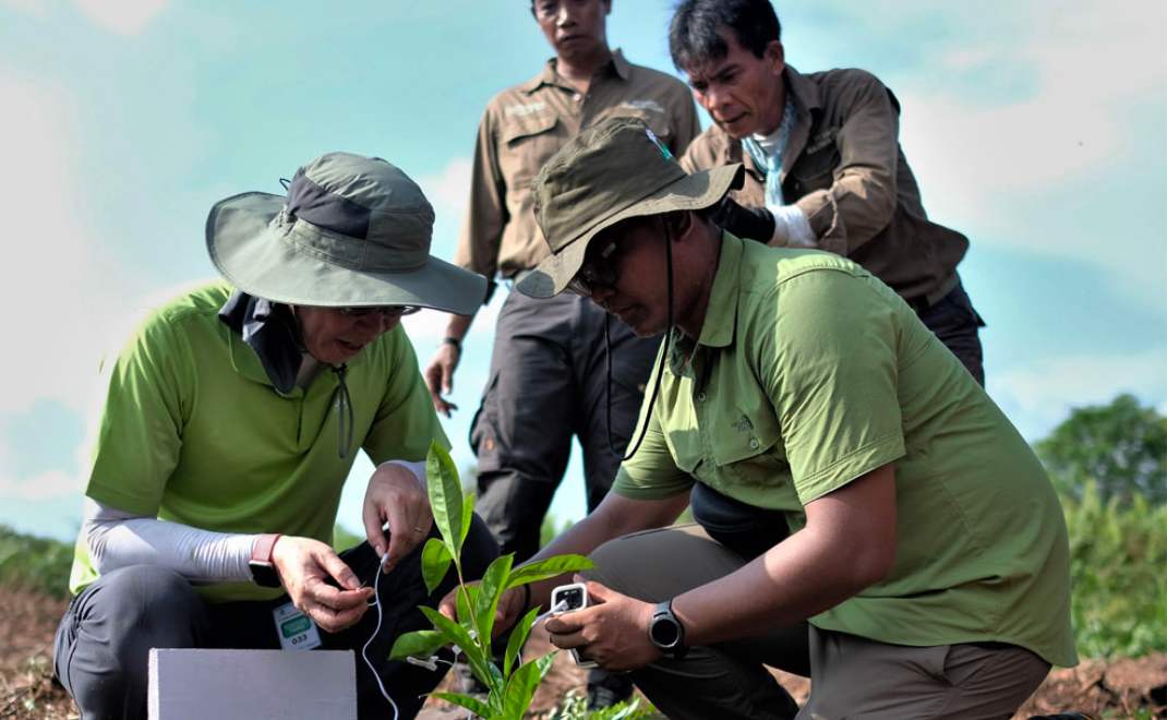 Para pejabat Katingan-Mentaya Project sedang mencoba Nada Bumi Solo, peranti yang membunyikan suara pohon (Foto: Dok. PT RMU)