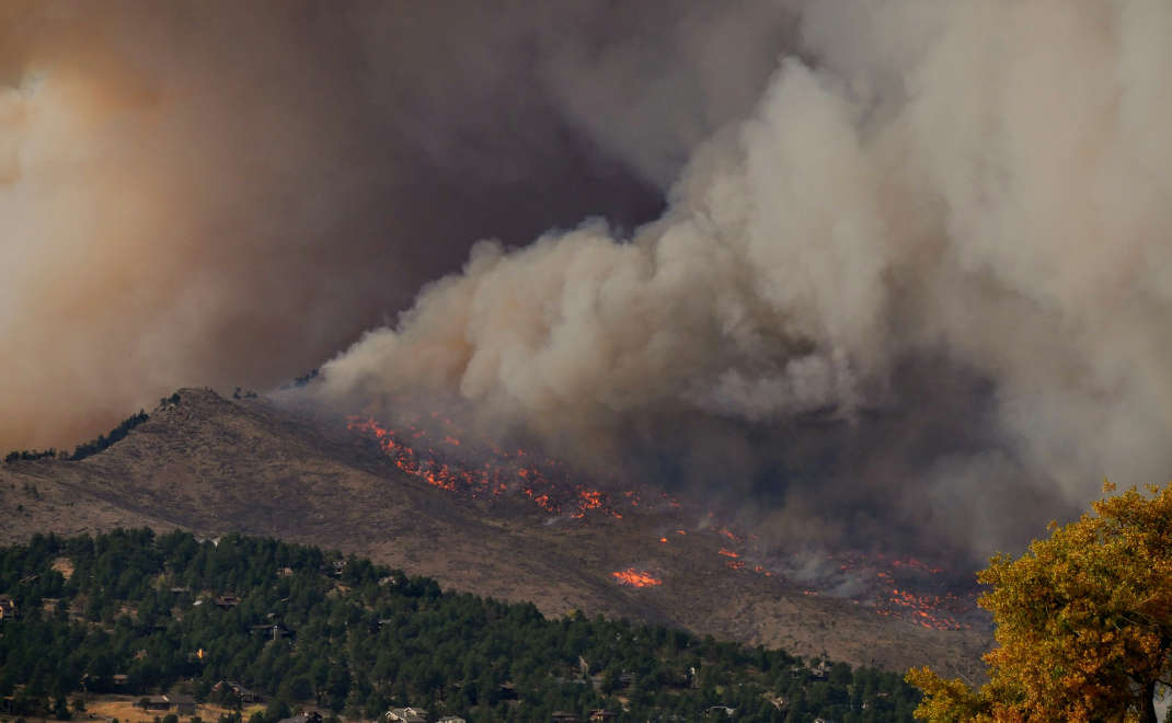 Kebakaran hutan (foto: Unsplash.com)