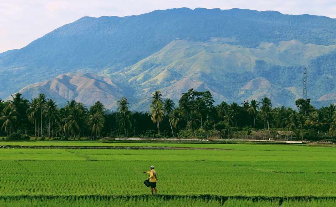 petani skala kecil (foto: Unsplash.com)