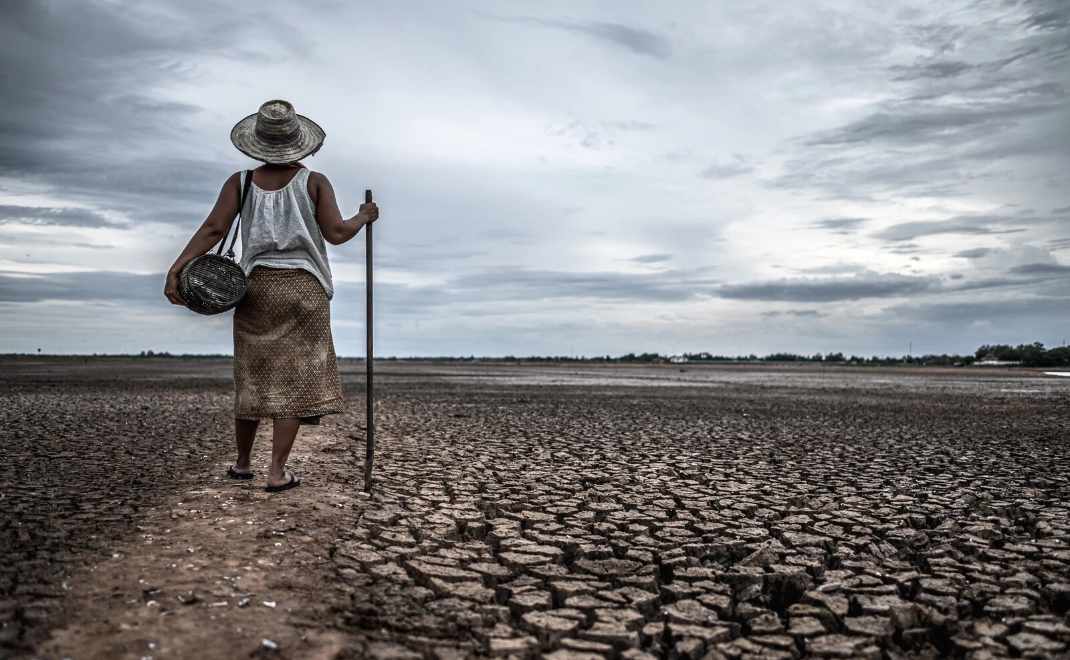 Lahan terdegradasi (foto: World Economic Forum)