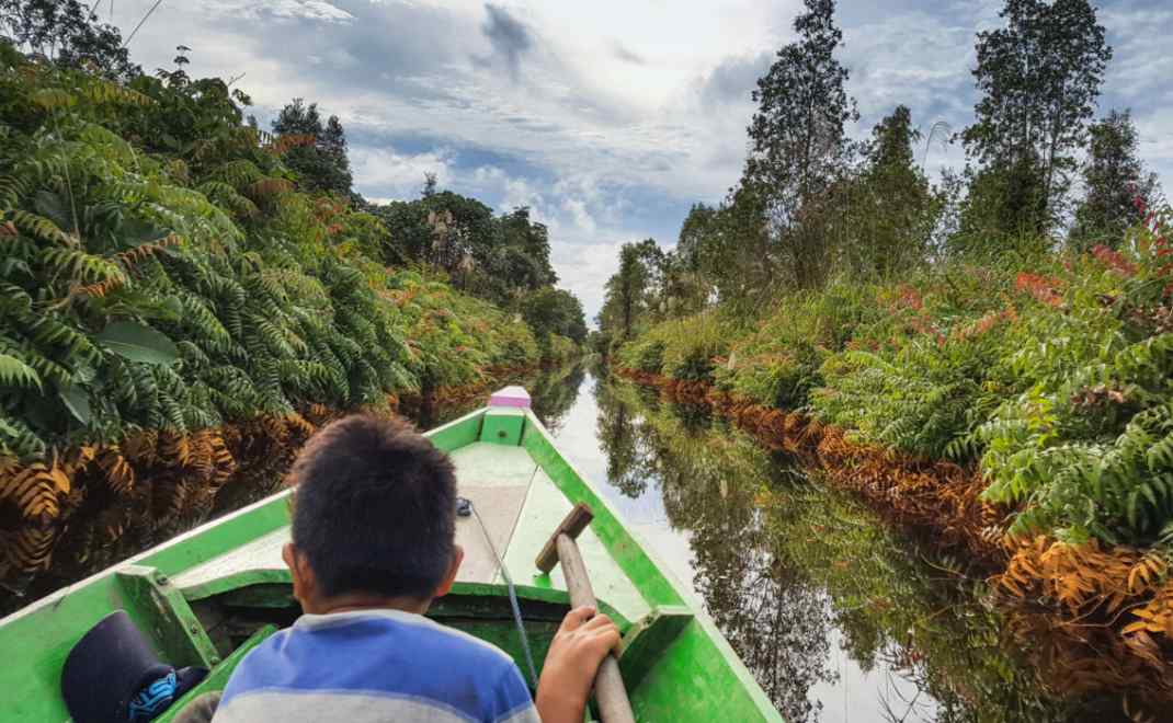 Lahan gambut di Indonesia (foto: UNOPS)