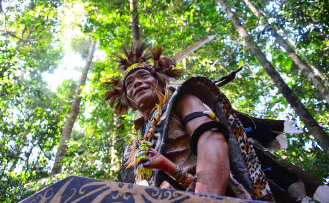 Hutan berperan krusial bagi masyarakat adat (foto: Indonesia Expat)
