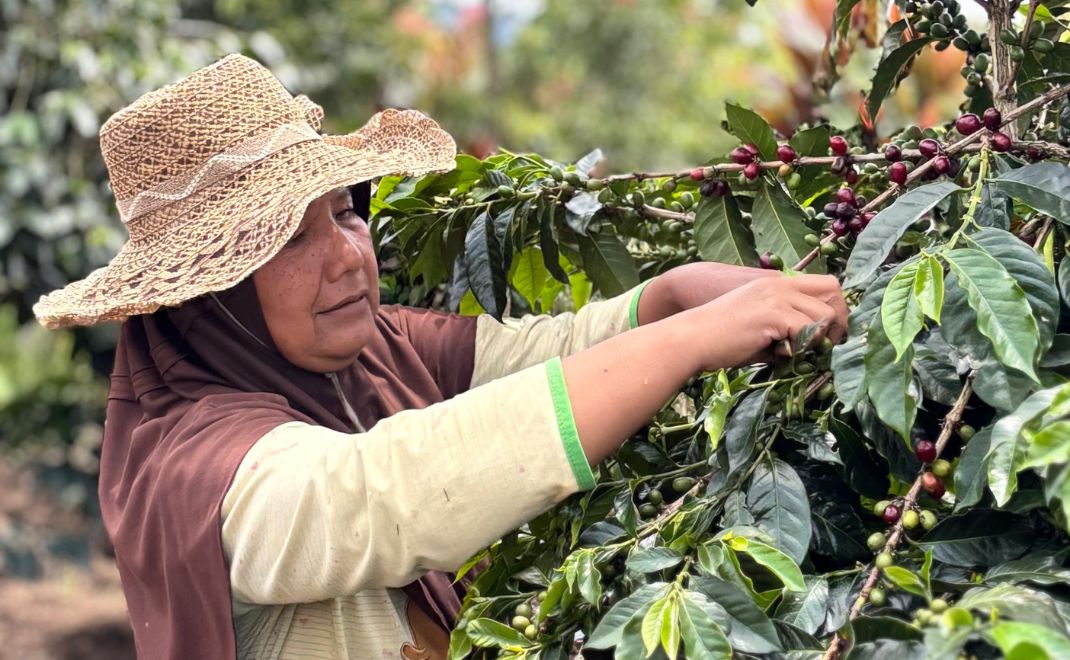 Pemanfaatan hutan produksi untuk perhutanan sosial sebagai bagian dari program FOLU net sink 2030 (Foto: Dok. FOLU net sink 2030)