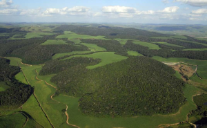 fragmentasi hutan (foto: Nottingham Trent University)