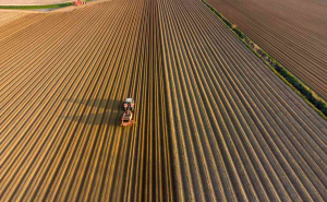 tanah adalah penyimpan karbon terbesar (foto: unsplash.com/Bob Brewer)