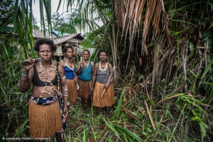 Perempuan adat Papua dari suku Awyu membawa kapak saat menebang pohon sagu di Desa Yare, Boven Digoel, Papua Selatan. (Foto: Jurnasyanto Sukarno/Greenpeace)